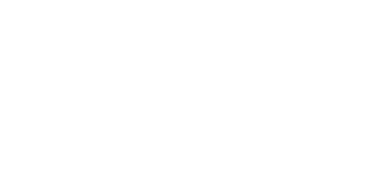 Roi Mulia signature